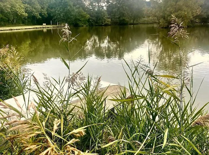 Affittacamere A Restaurace U Nováků Bítovany
